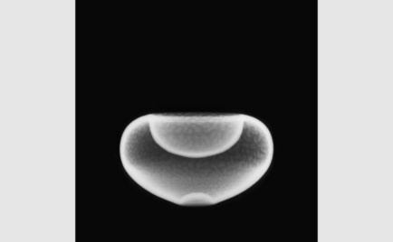 Pigmentprint, 100 × 100 cm